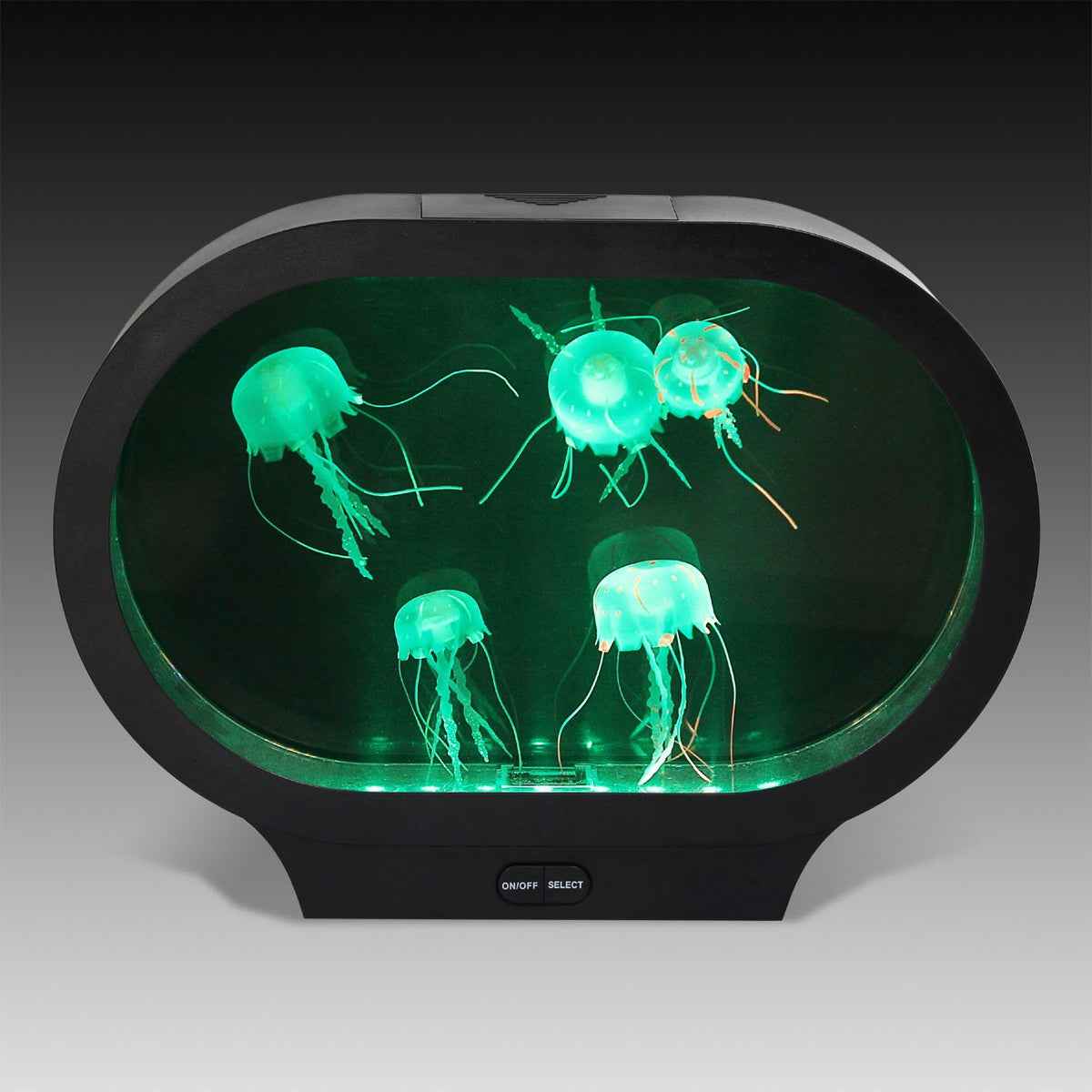 Oval Mini Jelly Fish Lamp